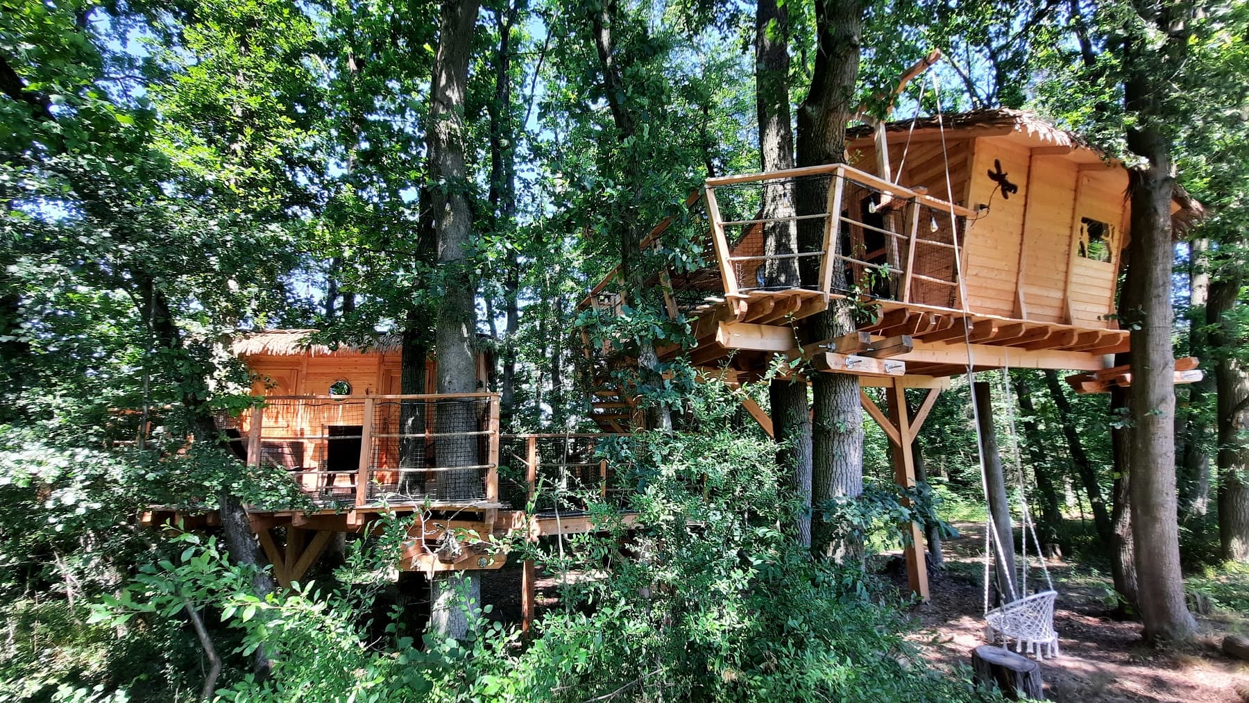Tree House V Lipách